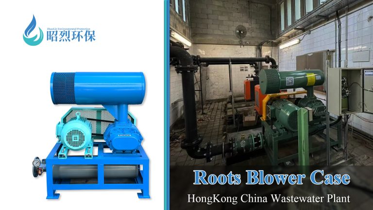 Roots Blower