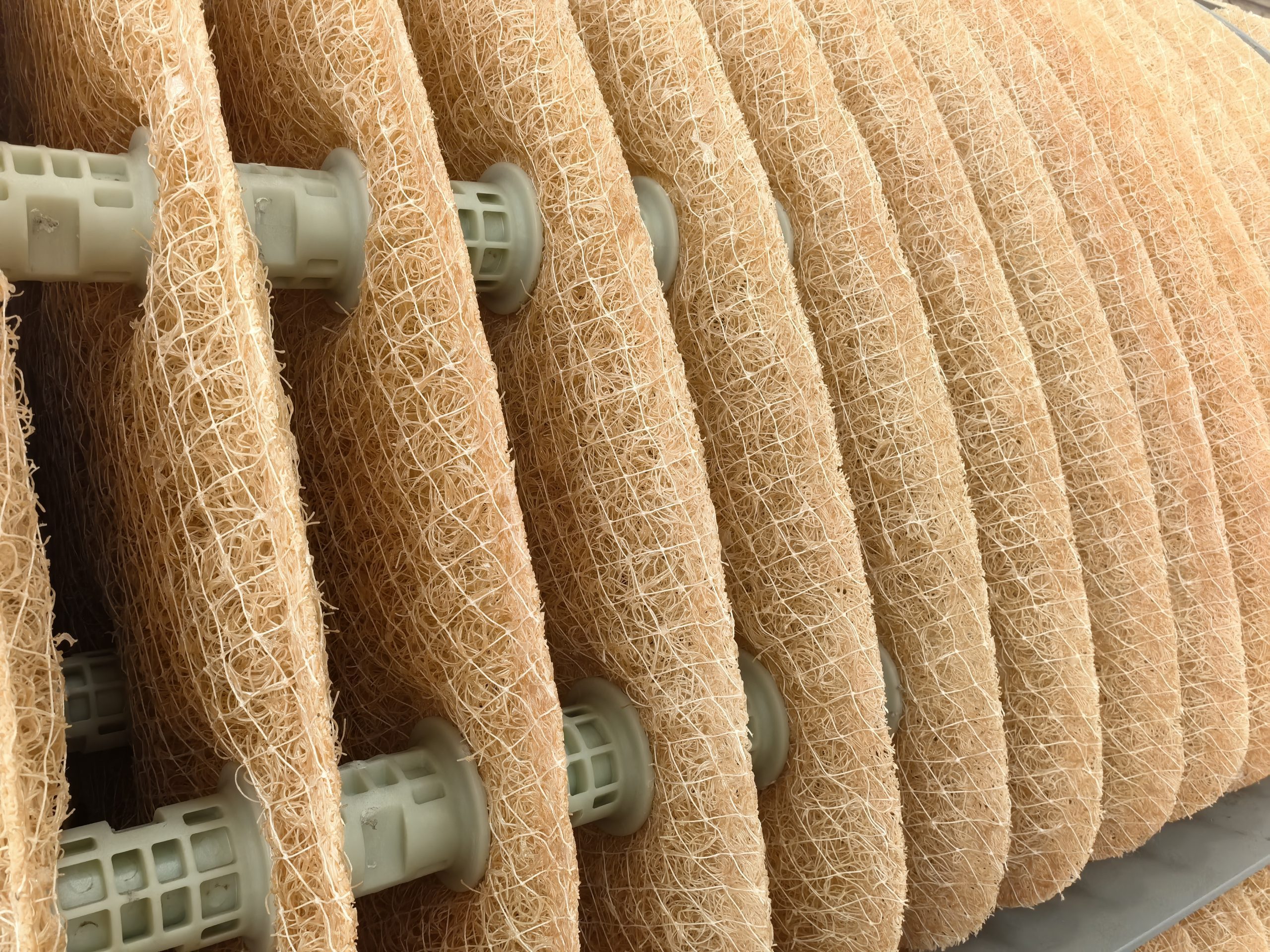 Rotating Biological Contactor